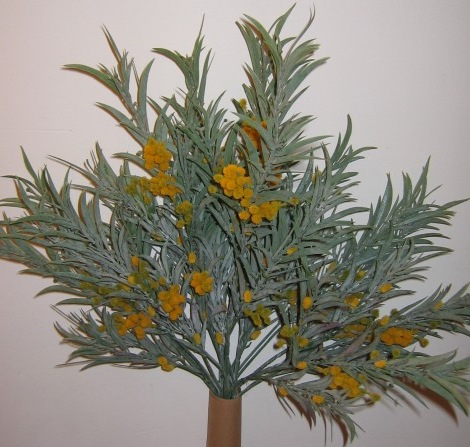 Flowers Australia on Mimosa Flowers Online   Artificial Flowers Delivered From Australia