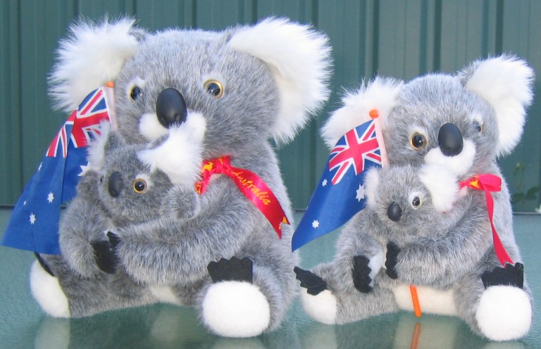 koala toys with baby, Aussie flag and in corporate jackets with logo embroidery