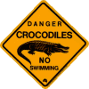 road sign - crocodile