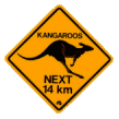 road sign - kangaroo