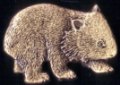 Wombat pin