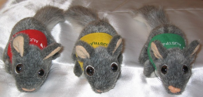 Small possum toy in corporate custom printed jacket