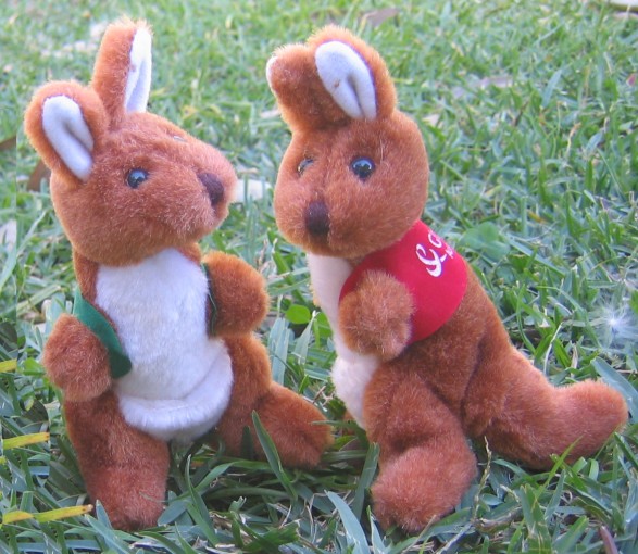 corporate beanie kangaroo toys