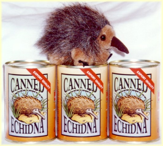 Canned echidna | Australian echidna toy in can