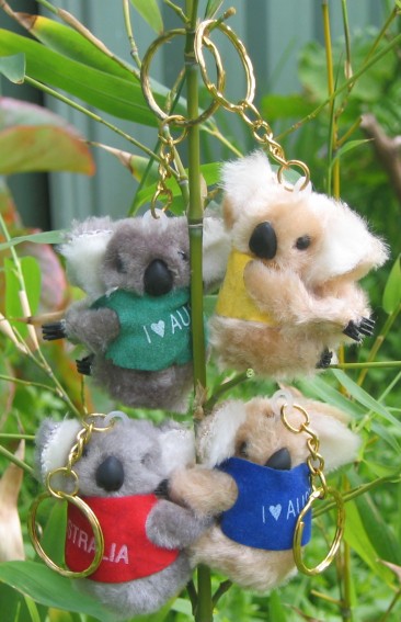 12 Australian Souvenir Plush Australia Koala Clip On Keyrings Bulk