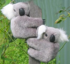 Large 3.25-inch clip-on koalas in set of six