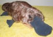The best platypus toy